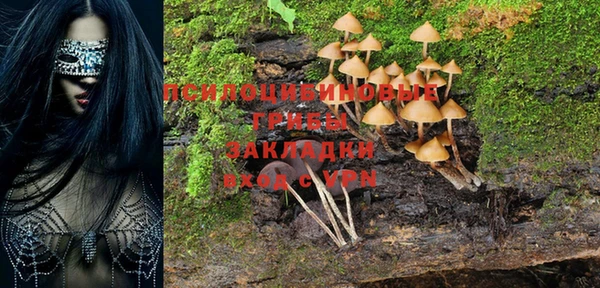 дмт Алексин