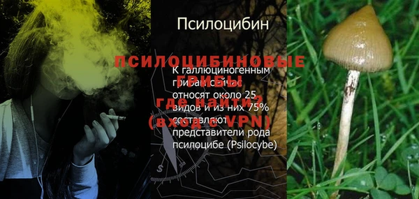 ГАЛЛЮЦИНОГЕННЫЕ ГРИБЫ Алексеевка