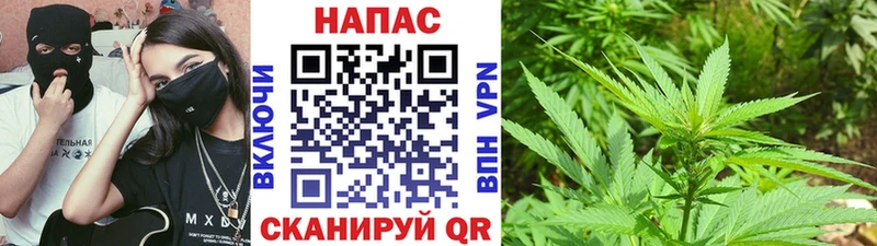 Бошки Шишки MAZAR Калачинск